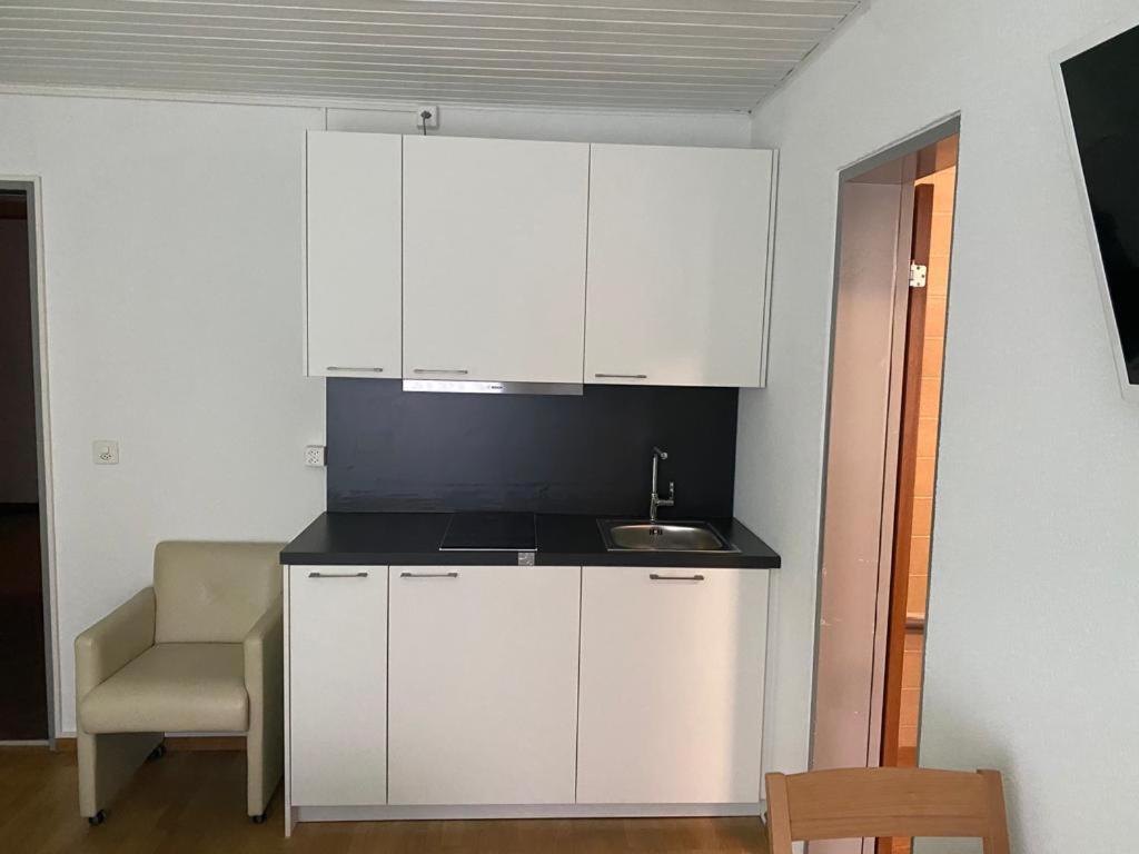 Studios With Kitchenette Birsfelden Buitenkant foto